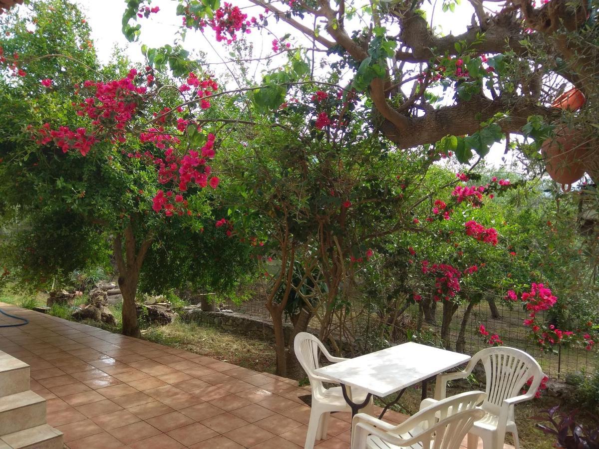 Ktima Tzamika Apartamento Episkopi-Chania Exterior foto