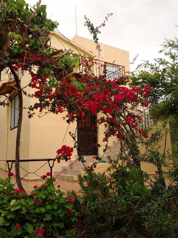 Ktima Tzamika Apartamento Episkopi-Chania Exterior foto