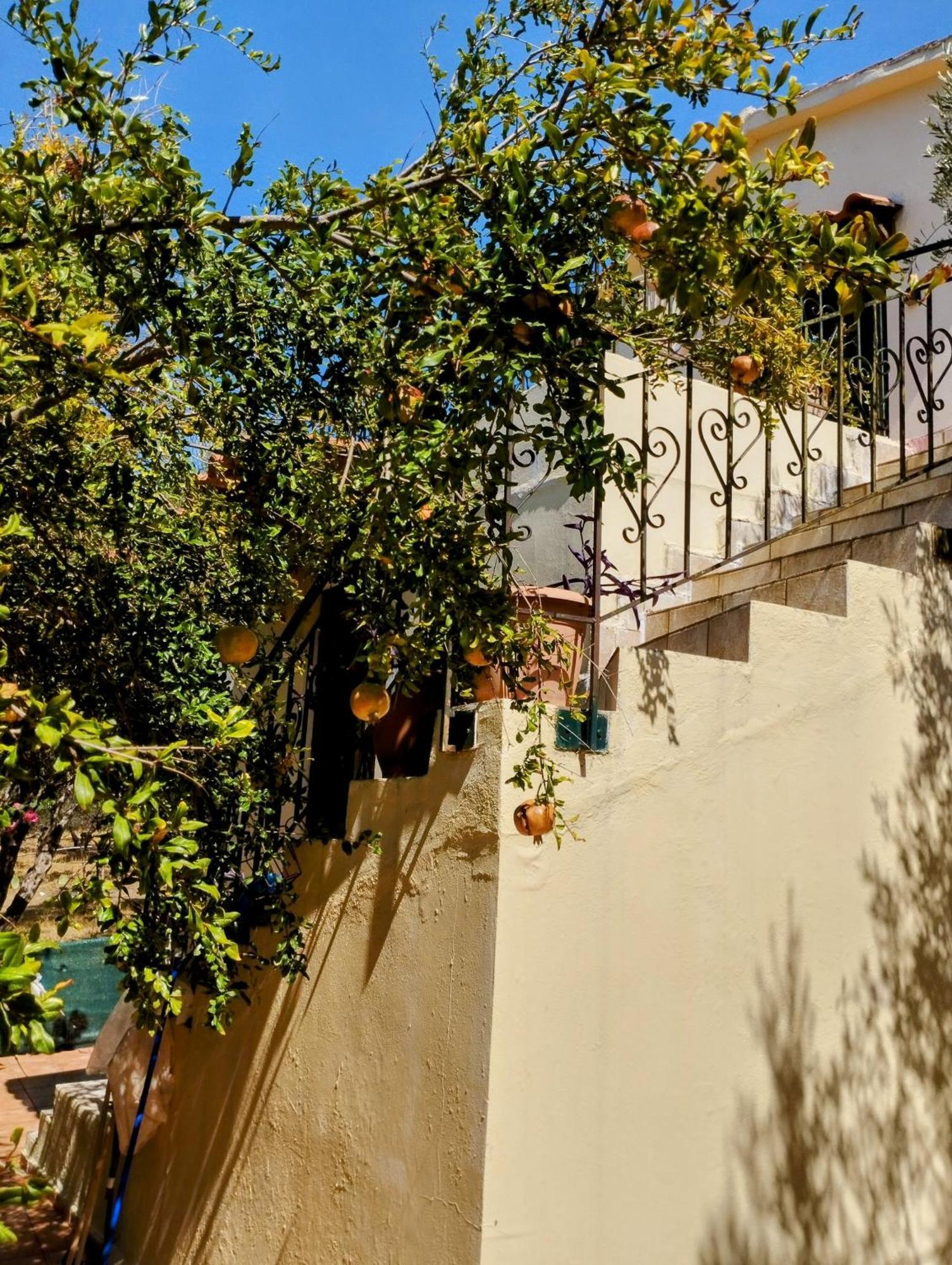 Ktima Tzamika Apartamento Episkopi-Chania Exterior foto