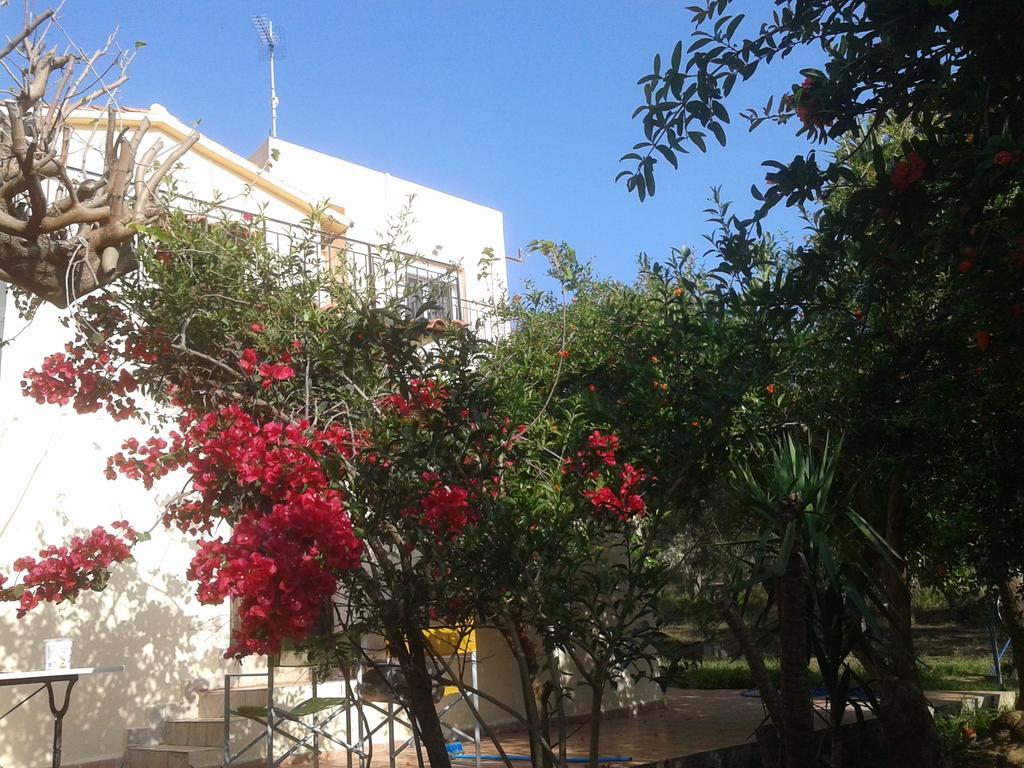Ktima Tzamika Apartamento Episkopi-Chania Exterior foto
