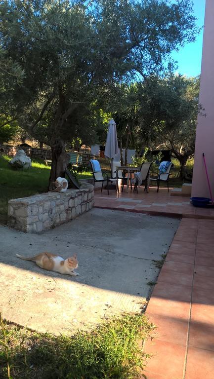 Ktima Tzamika Apartamento Episkopi-Chania Exterior foto