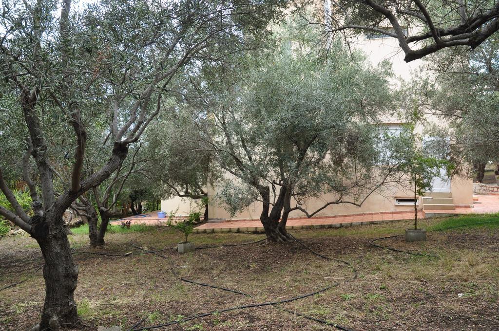 Ktima Tzamika Apartamento Episkopi-Chania Exterior foto