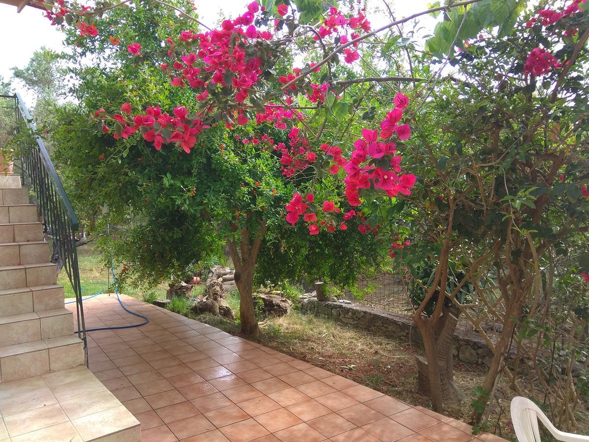 Ktima Tzamika Apartamento Episkopi-Chania Exterior foto