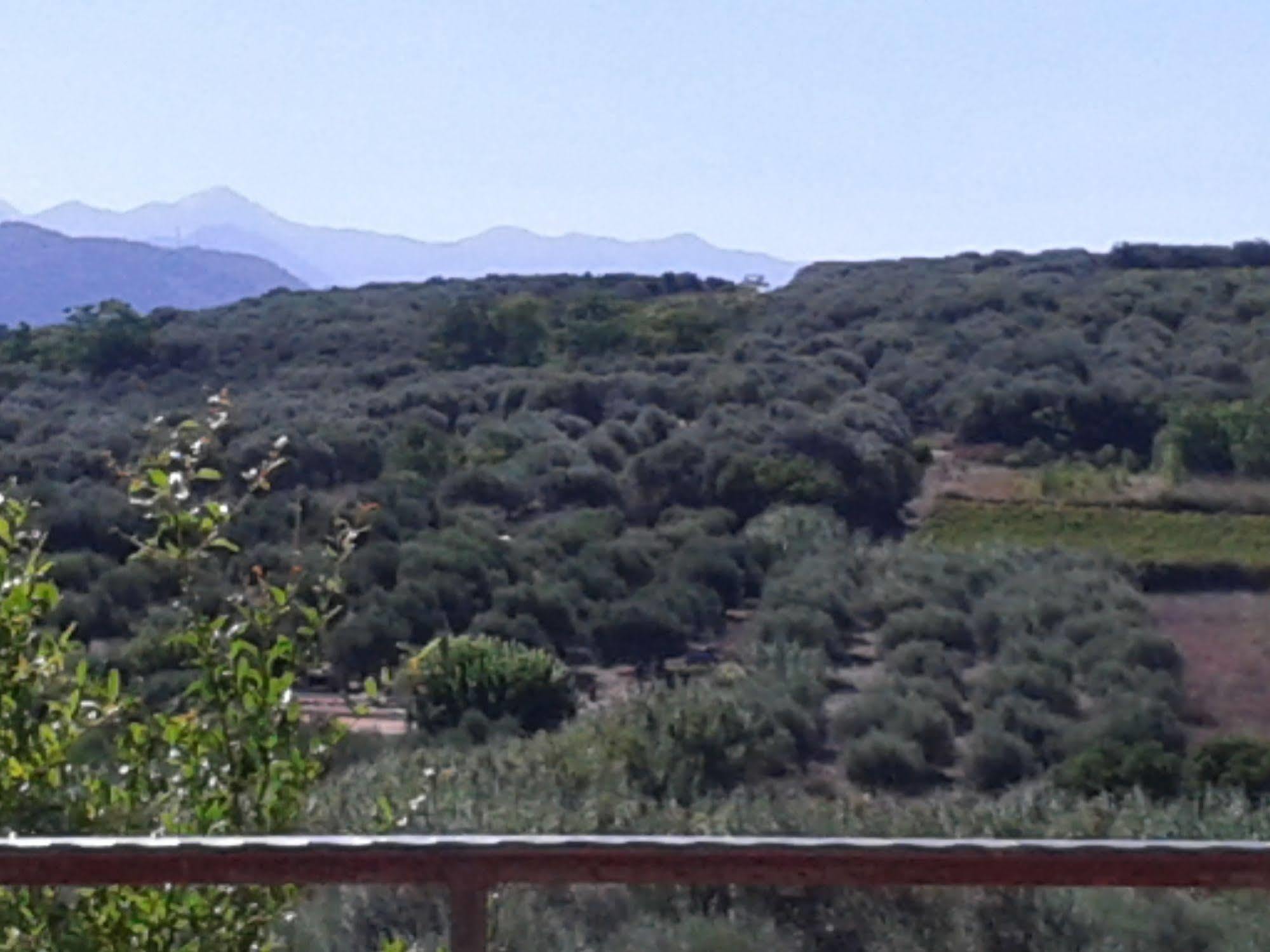 Ktima Tzamika Apartamento Episkopi-Chania Exterior foto