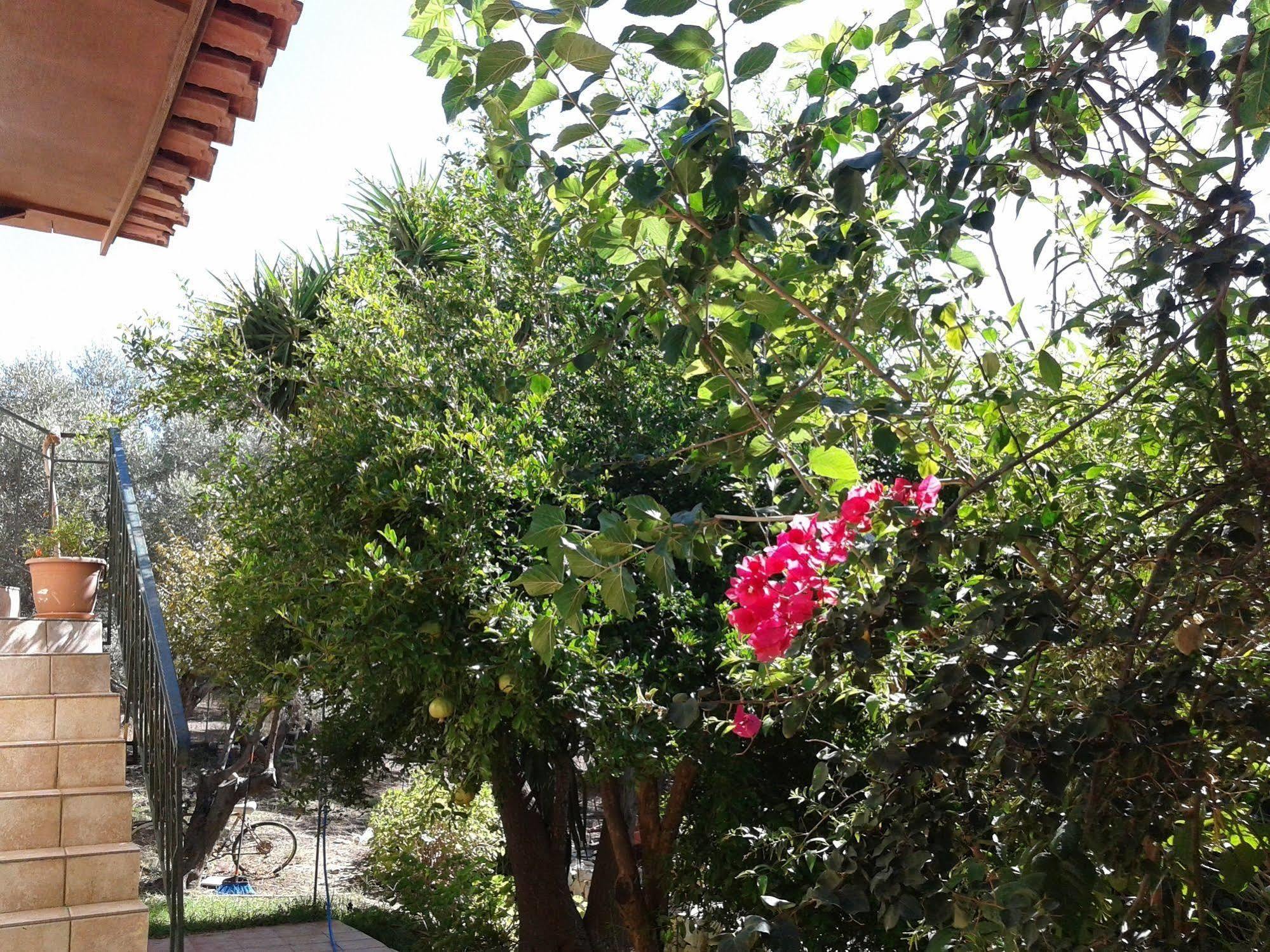 Ktima Tzamika Apartamento Episkopi-Chania Exterior foto