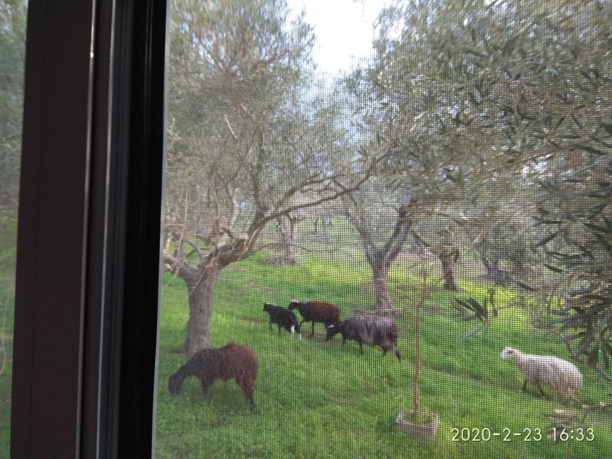 Ktima Tzamika Apartamento Episkopi-Chania Exterior foto